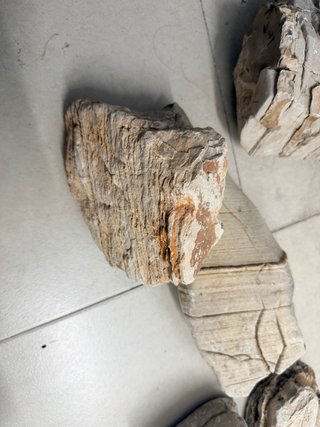 Lote piedras naturales acuario