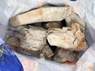 Lote piedras naturales acuario