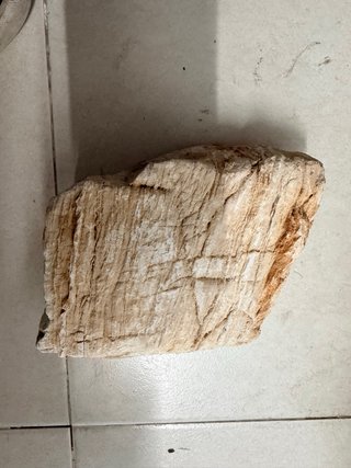 Lote piedras naturales acuario