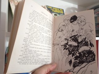 19 libros de LOS CINCO