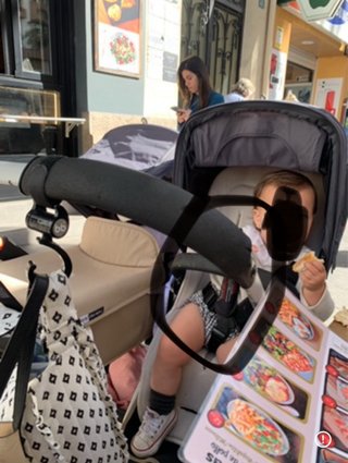 Carro Bugaboo Donkey