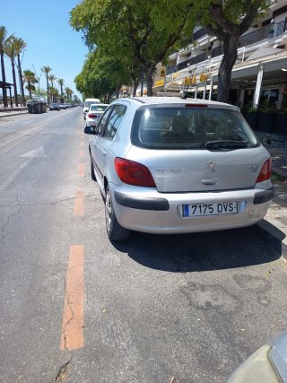 Peugeot 307 2006