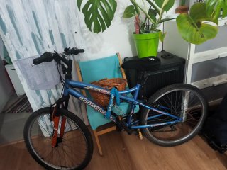 Bicicleta azul con cesta
