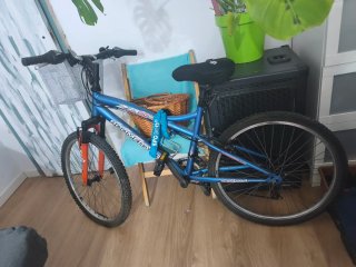 Bicicleta azul con cesta