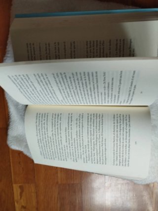 Pulsió de mort