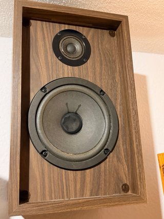 Altavoces Pioneer Vintage Marrón (2 unidades)
