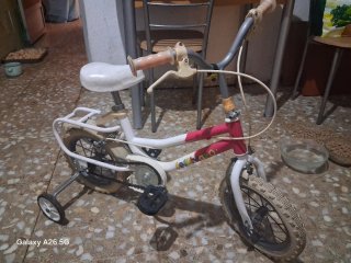 Bicicleta infantil niña