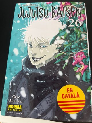 JUJUTSU KAISEN 20 CATALA