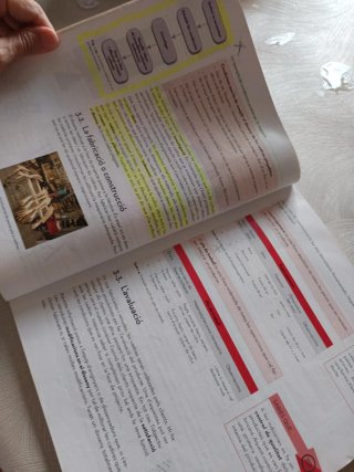 Tecnologia, Secundària