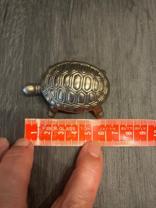 Pastillero Tortuga Plata