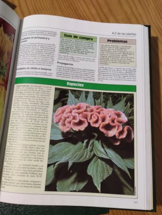 Colección plantas de interior