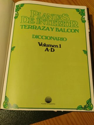Colección plantas de interior