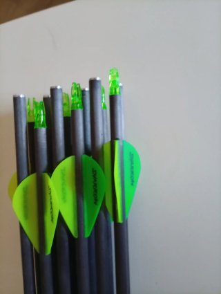 Flechas para arquería Spine 200-1500 Todo tiene