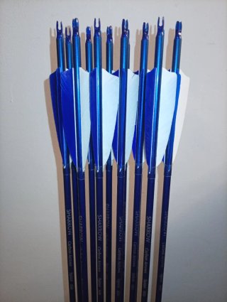 Flechas para arquería Spine 200-1500 Todo tiene