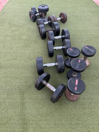 Lote Mancuernas Gimnasio