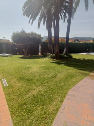 Alquiler de apartamento