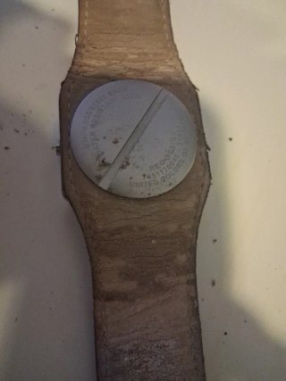 Reloj Unisex Correa Marrón y Caja Plateada