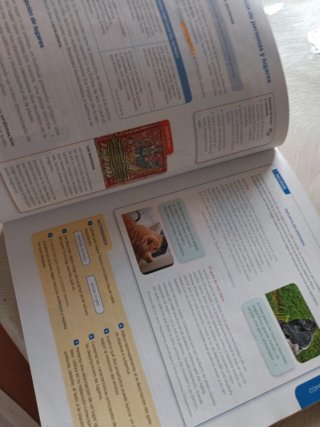 Lengua castellana y literatura, 1 ESO