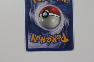 Sandslash Pokémon Carta Fósil
