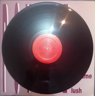 Vinilo 12" - Psyche - The Saint Became A Lush