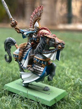 Ejército Altos Elfos Warhammer Pintados