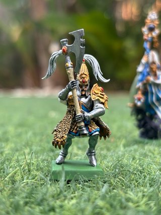 Ejército Altos Elfos Warhammer Pintados