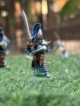 Ejército Altos Elfos Warhammer Pintados