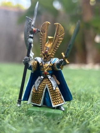 Ejército Altos Elfos Warhammer Pintados