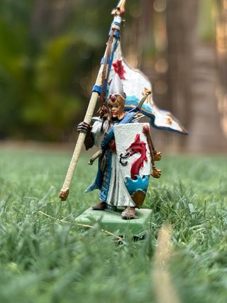 Ejército Altos Elfos Warhammer Pintados