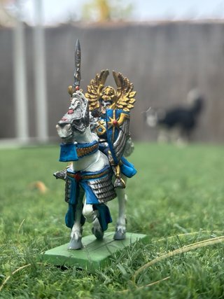 Ejército Altos Elfos Warhammer Pintados