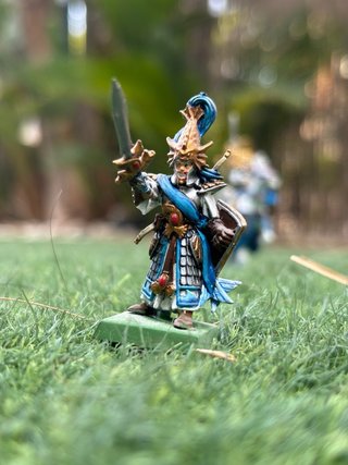 Ejército Altos Elfos Warhammer Pintados