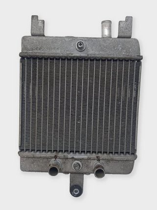 Radiador De Agua Suzuki Burgman 125 200 (2007-2013