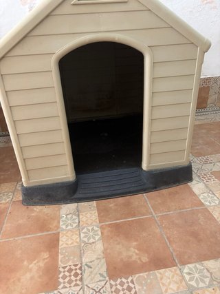 Caseta para perro de plástico
