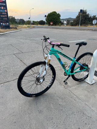 Bicicleta JL Wenti