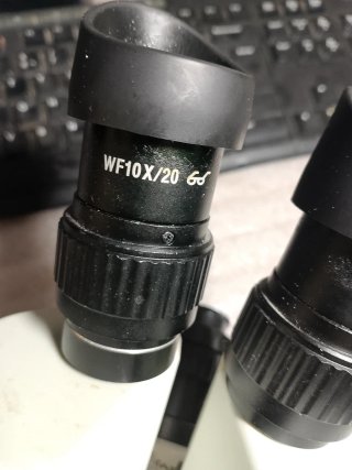 Cabezal Microscopio Eakins WF10X/20 0.5X