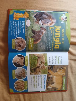 DISNEY MIS AMIGOS LOS ANIMALES
