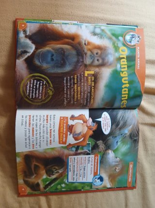 DISNEY MIS AMIGOS LOS ANIMALES