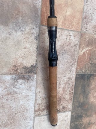 Caña de casting DAIWA TATULA