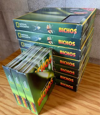 Colección Bichos National Geographic