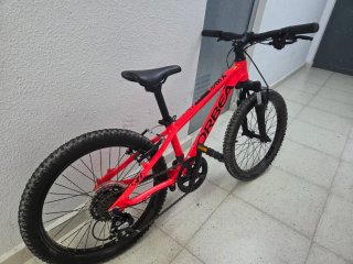 Bicicleta Orbea MX 20