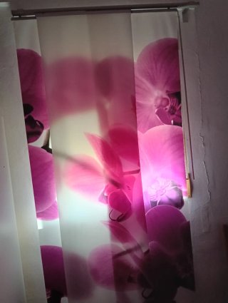 Juego de 2 Cortinas Decorativas