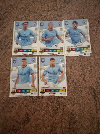 Fifa 365 2023 - Tarjetas de Jugadores Equipos TOP