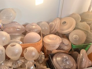 Tulipas de lámpara vintage (1940-1960)