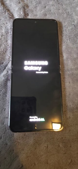 Samsung Galaxy Z Flip 4 - Funciona Todo Bien