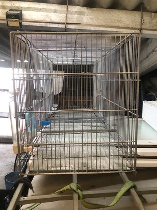 Pajarera criadora de pájaros