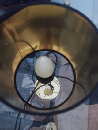 Lámpara de mesa negra y dorada