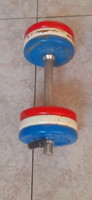 Par de mancuernas  de 12kilos en total marca salta