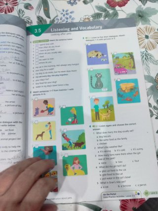 Wider World 2e 2 Workbook with Online Practice ...