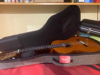 Funda Guitarra Española Alhambra Acolchada