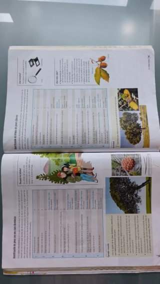Proyecto: FanFest - Biología y Geología 1 ESO